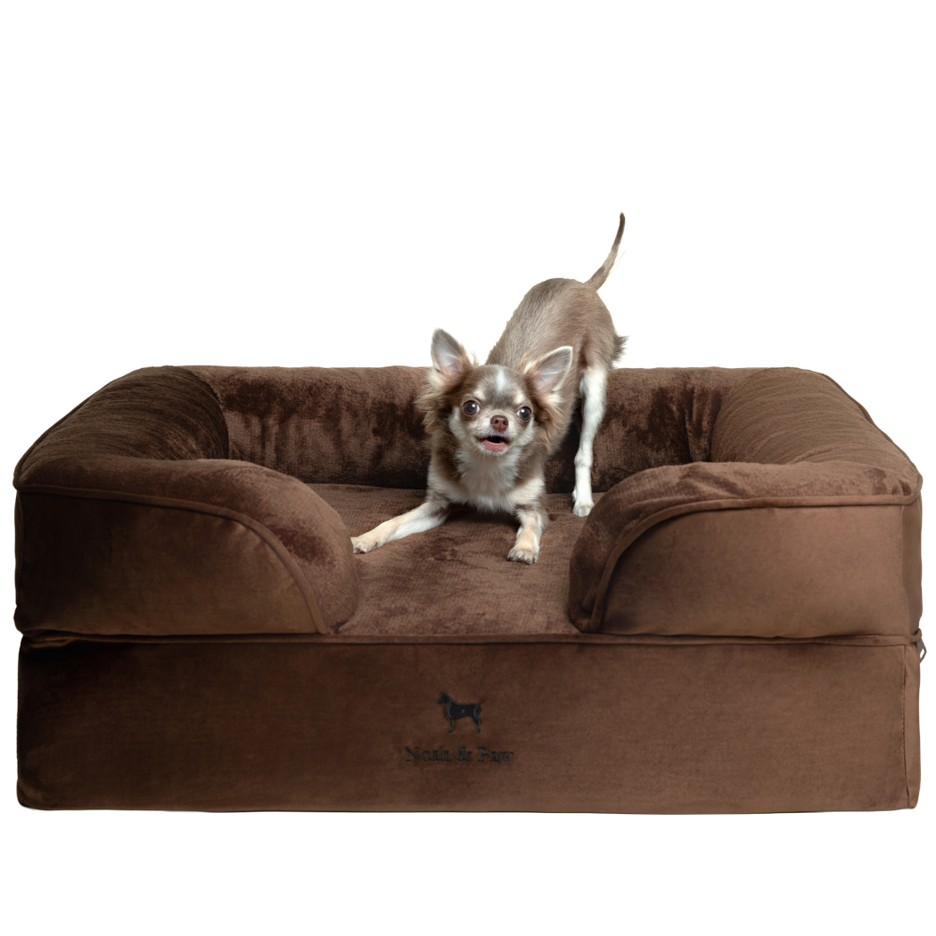 NOAH AND PAW LLC - Wholesale Bed voor huisdieren- Kat/hond - Velvet orthopedisch hondenbed met memoryfoam en verkoelende gel6