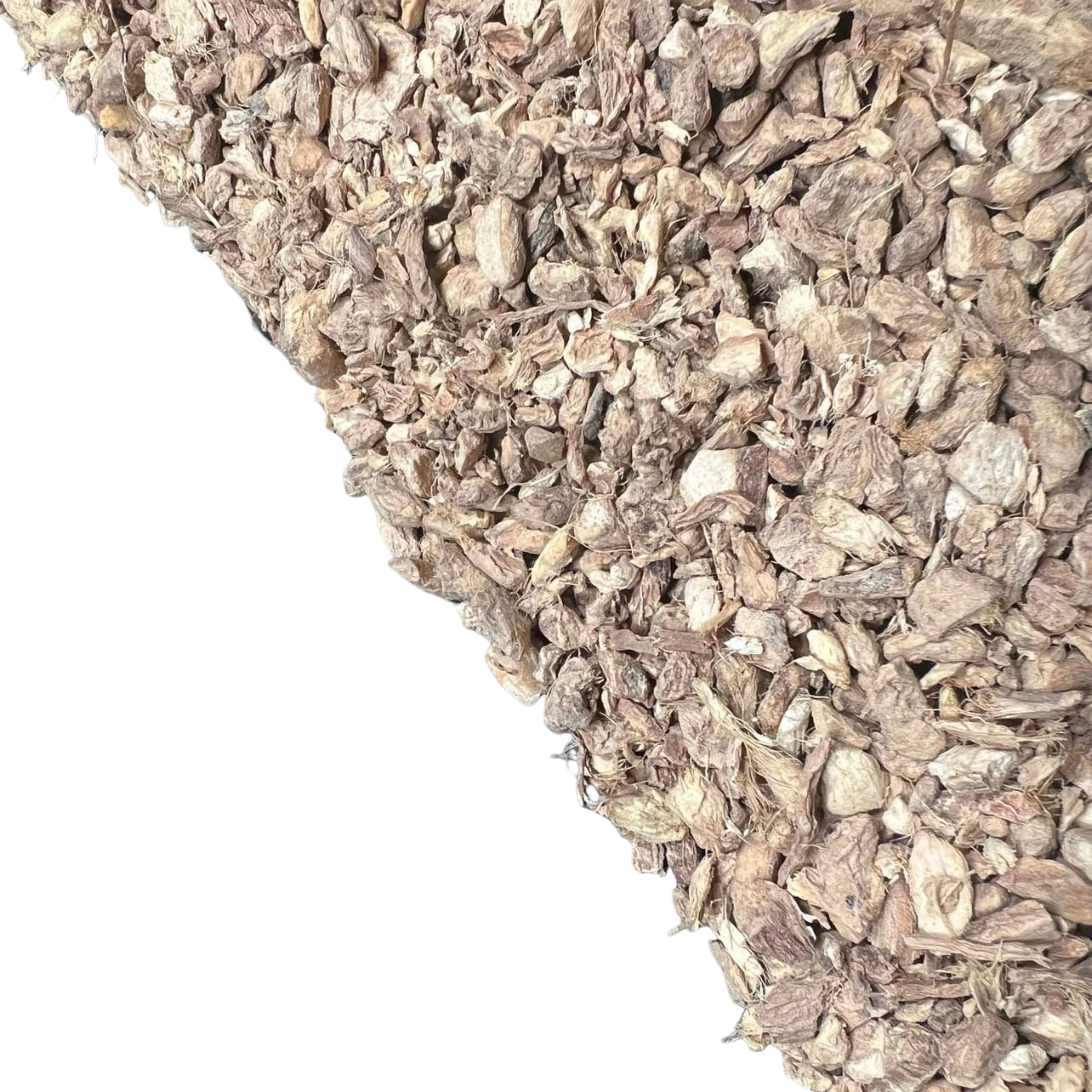 Tree Fifty Four - Wholesale Health/Detox Tea - Ginger Root 6-Pack Sachet Set | 3.5" x 4.75"3