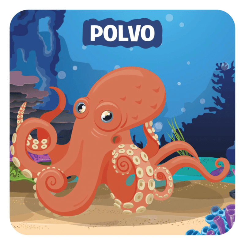 Lyeto Toys – wholesale Card game – Guess in 10 (Junior) - Animais do Mundo5