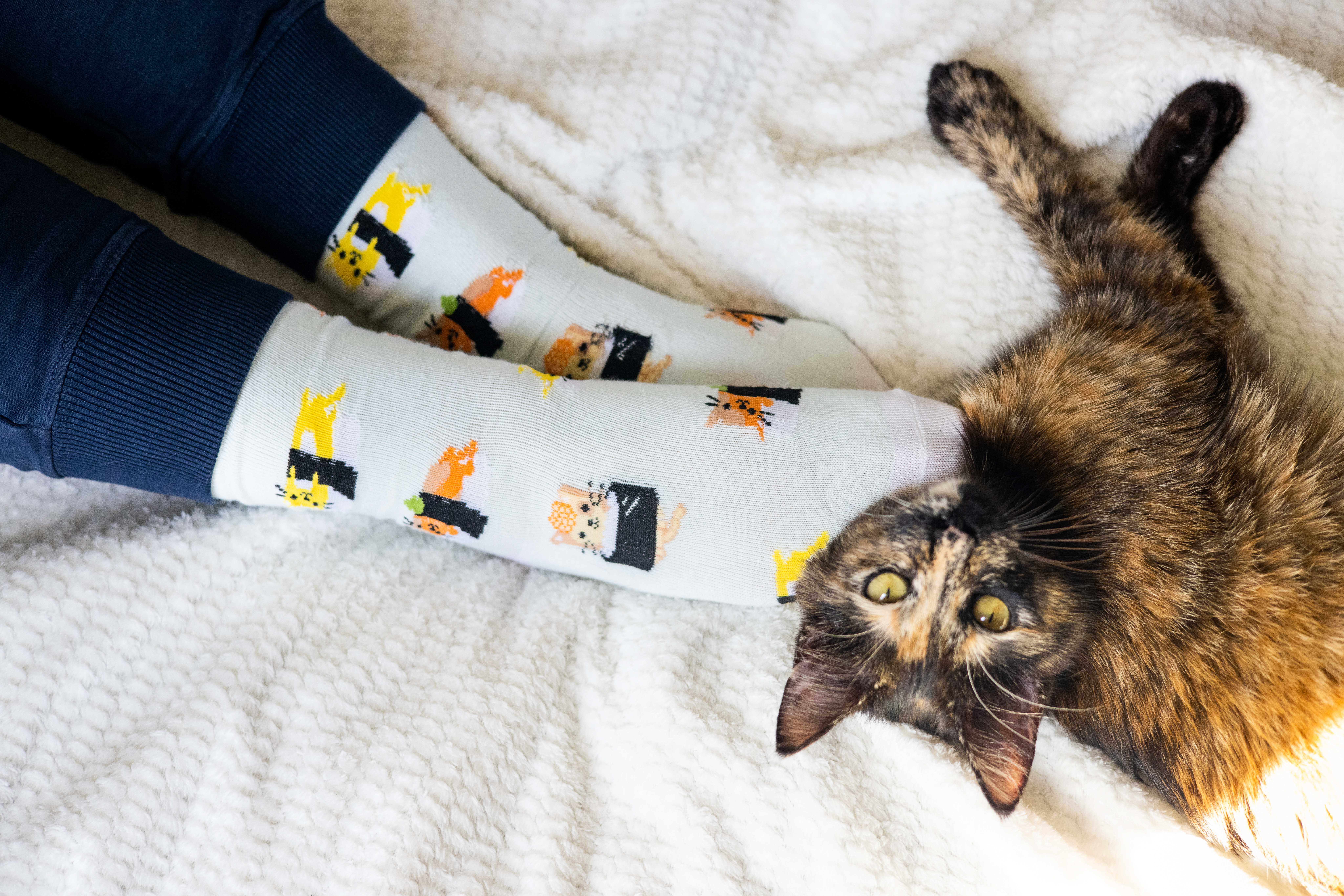 Pearhead - Wholesale Socks - Unisex - Cat Sushi Socks, Pet Owner Apparel, Unisex Crew Socks3