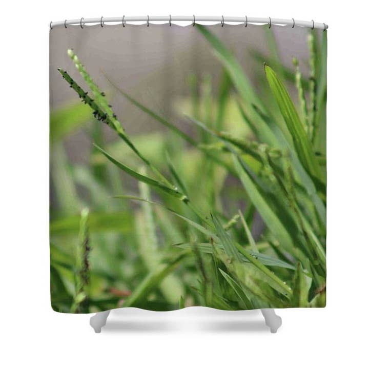 “LAKE'S SHORE” SHOWER CURTAIN for wholesale by sorayadapuzzostore