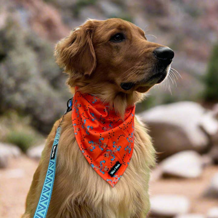 Tails and Trails - Wholesale Pet Bandana - Dog - Reptile Bandana3