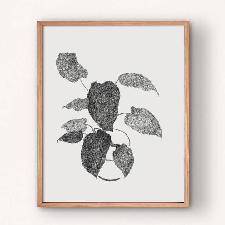 Philodendron Bleistift-Zeichnungsdruck - Houseplant Serie für den Großhandel von Lauren Denitzio Art & Illustration