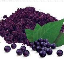 MaquiFit Canada - Wholesale Protein/Superfood Powder - Maqui berry Raw