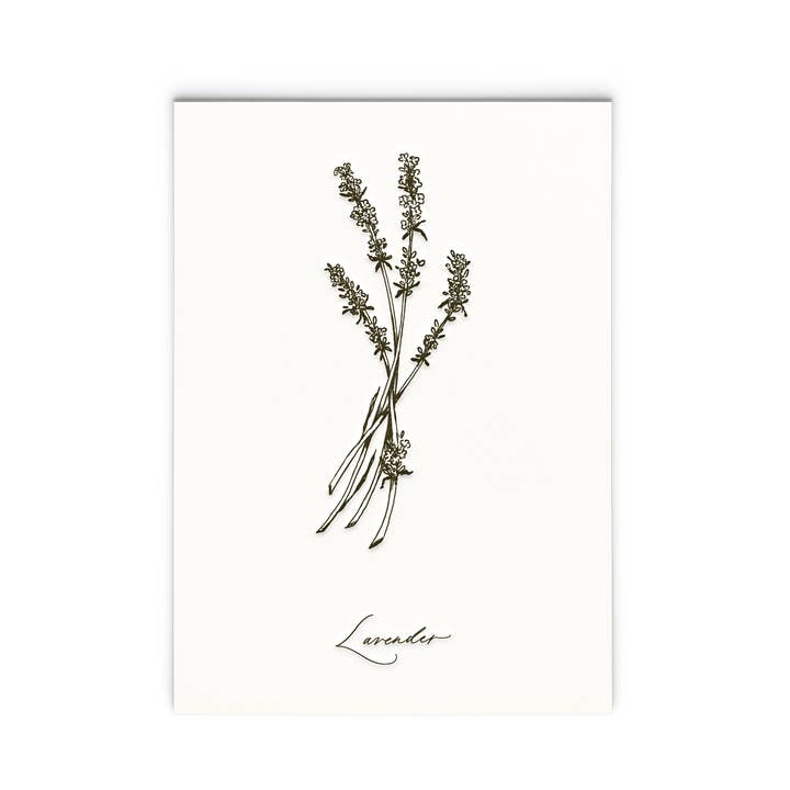 Lavender | Letterpress Herb Series Art Print for wholesale by Ciarra Claire