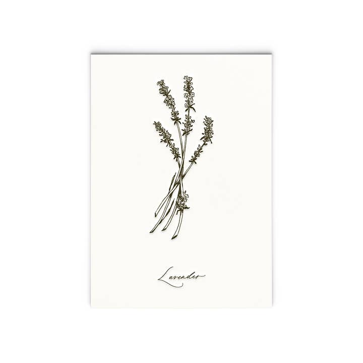 Lavender | Letterpress Herb Series Art Print for wholesale by Ciarra Claire
