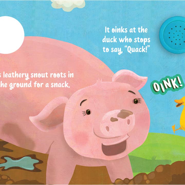 Little Hippo Books - Wholesale Baby & Toddler Book (0-2) - Oink Oink Little Pig2