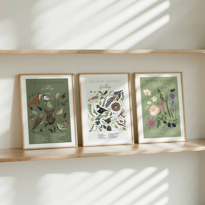 Wildwood Paper - Wholesale Art Print - The Peak District Wildlife A4/A3 Illustrated Animal Print2