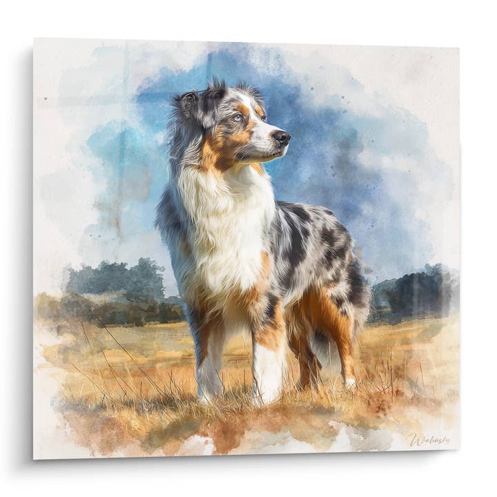 Australian Shepherd Painting Watercolor Portrait - Noble Gaze - Australian Shepherd Painting Edition for wholesale by Walensky