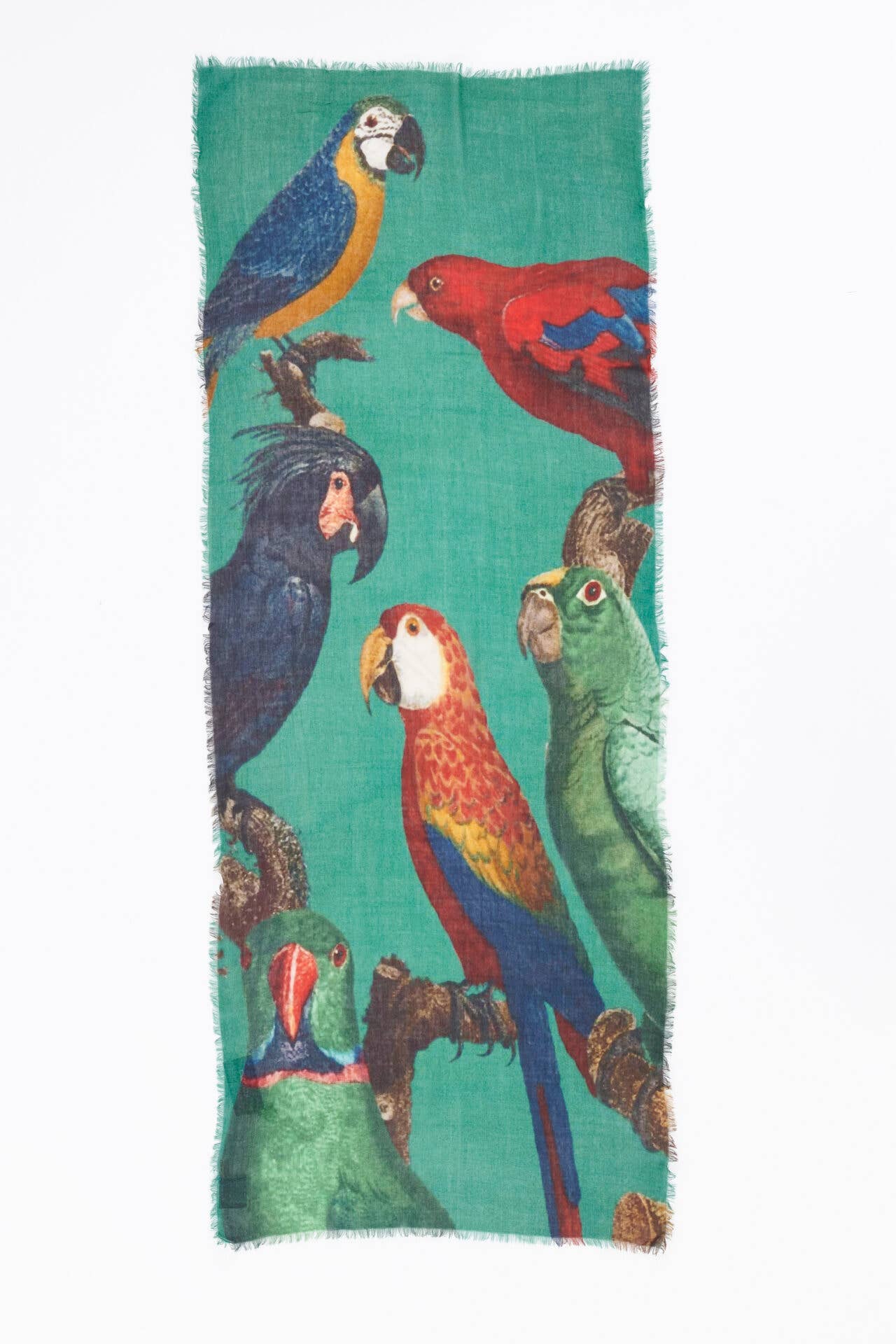 OTRACOSA - Wholesale Scarf - Unisex - Scarf Wool - Otra Cosa - All Color Parrots - 47680