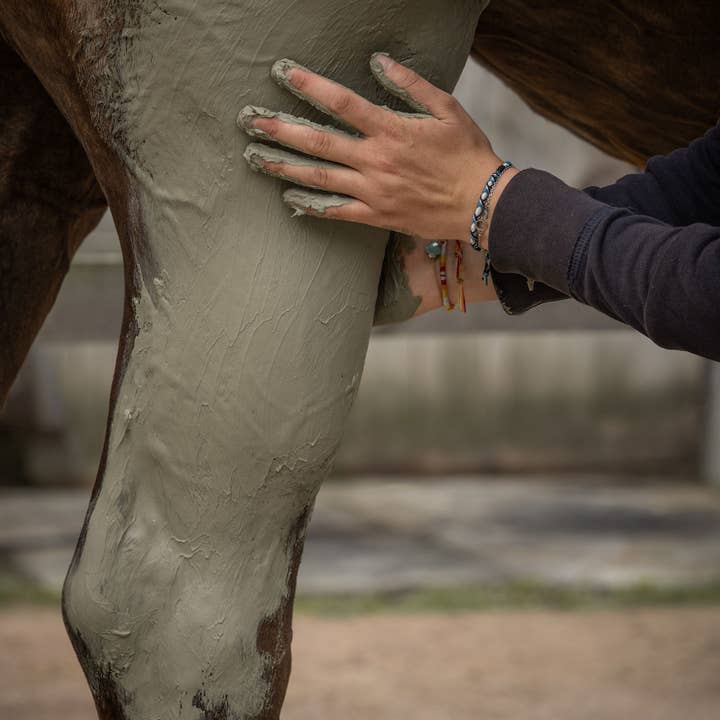 Nellumbo - Venta al por mayor Equipamiento de equitación - Arcilla para caballos - Drenaje y Desintoxicación - 1,5KG