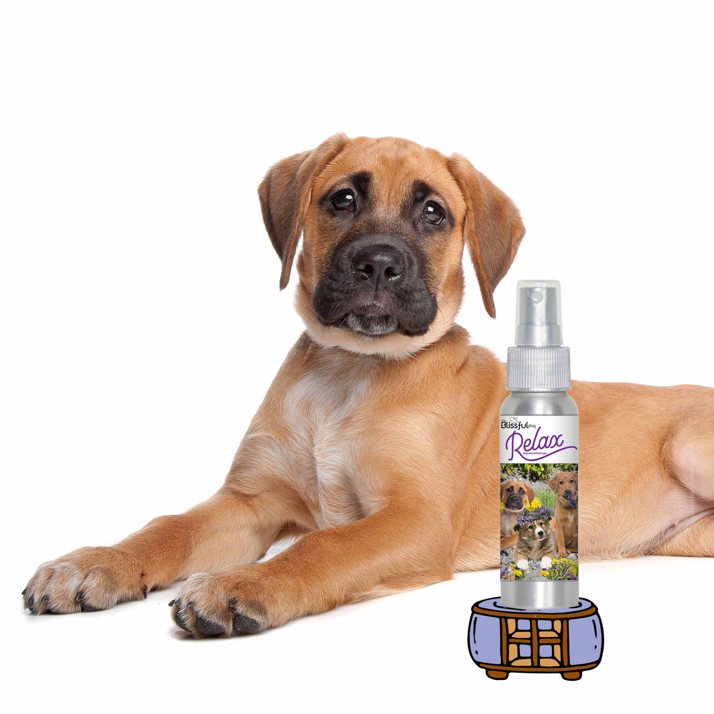The Blissful Dog - Wholesale Pet Spray - Dog - Relax Dog Aromatherapy Calming Spray & Roll-on7