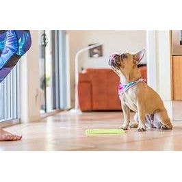 Elite Pet Distributors - Wholesale Pet food mat – Dog - LickiMat Classic Soother Slow Feeder for Dogs4