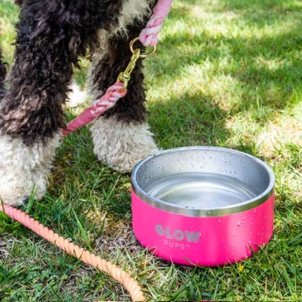 Glow Pups – Engroshandel Madskål - Kat/hund – Lyserød hundeskål i rustfrit stål - 32 oz & 64 oz