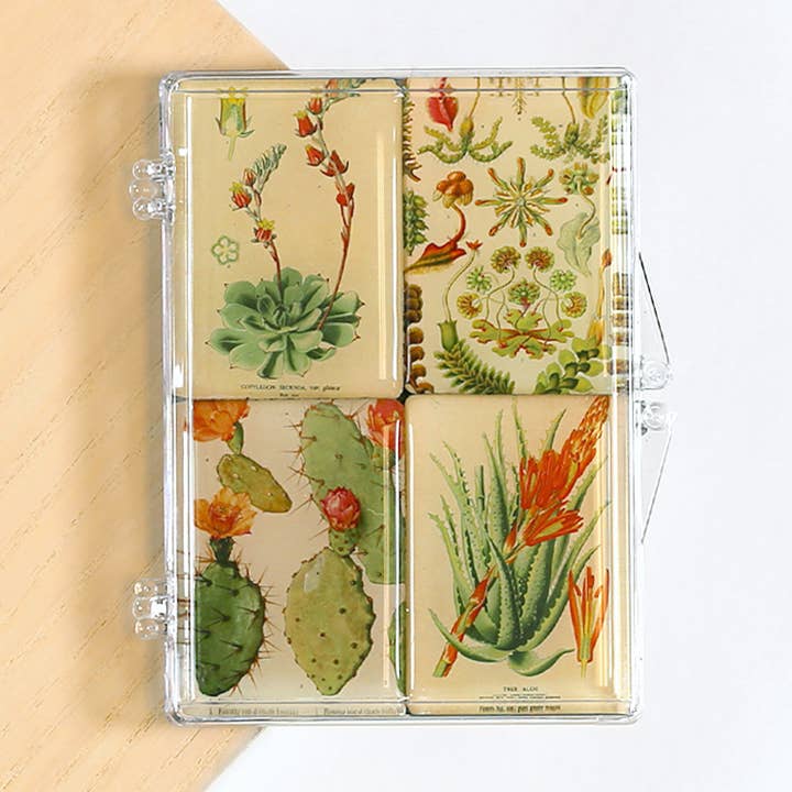 Succulents Desert Flower Mighty Magnet for wholesale by Lucy Lu Designs
