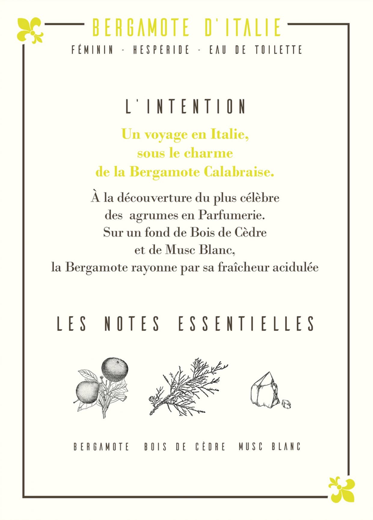 Les Parfums D'Uzège - Wholesale Perfume/Eau de Toilette - Italian Bergamot Eau de Toilette - 50ml2