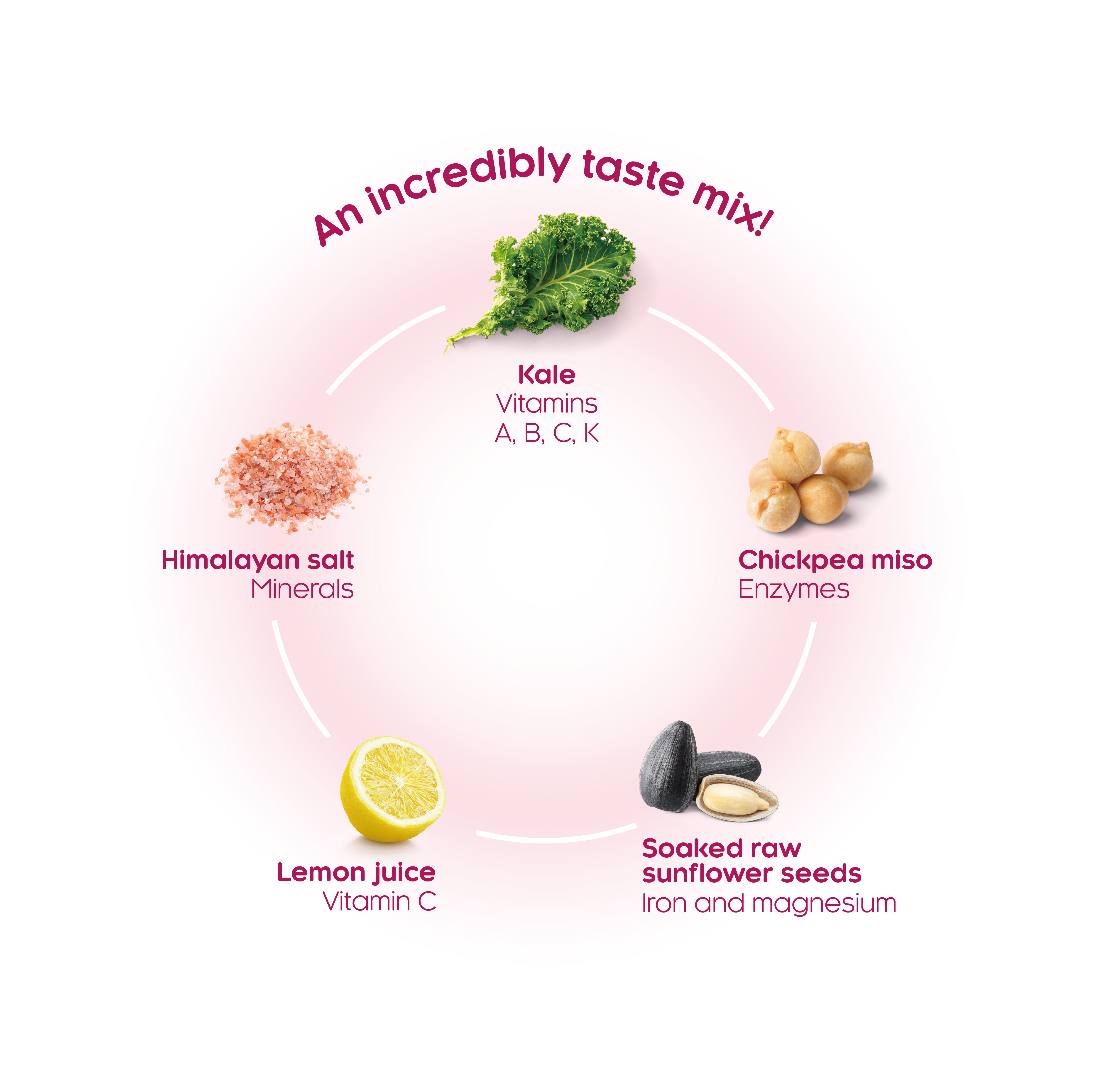 Vibe Foods - Wholesale Chips - Vibe Himalayan salt & Chickpea miso Kale Chips2