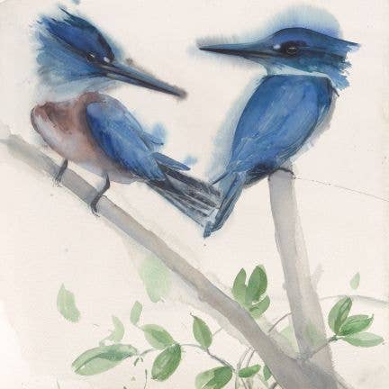 Belted Kingfishers ~ "Prosperity" ~ "Oh, to Fly" ~ Giclée Print for wholesale by Holly Wach Art LLC