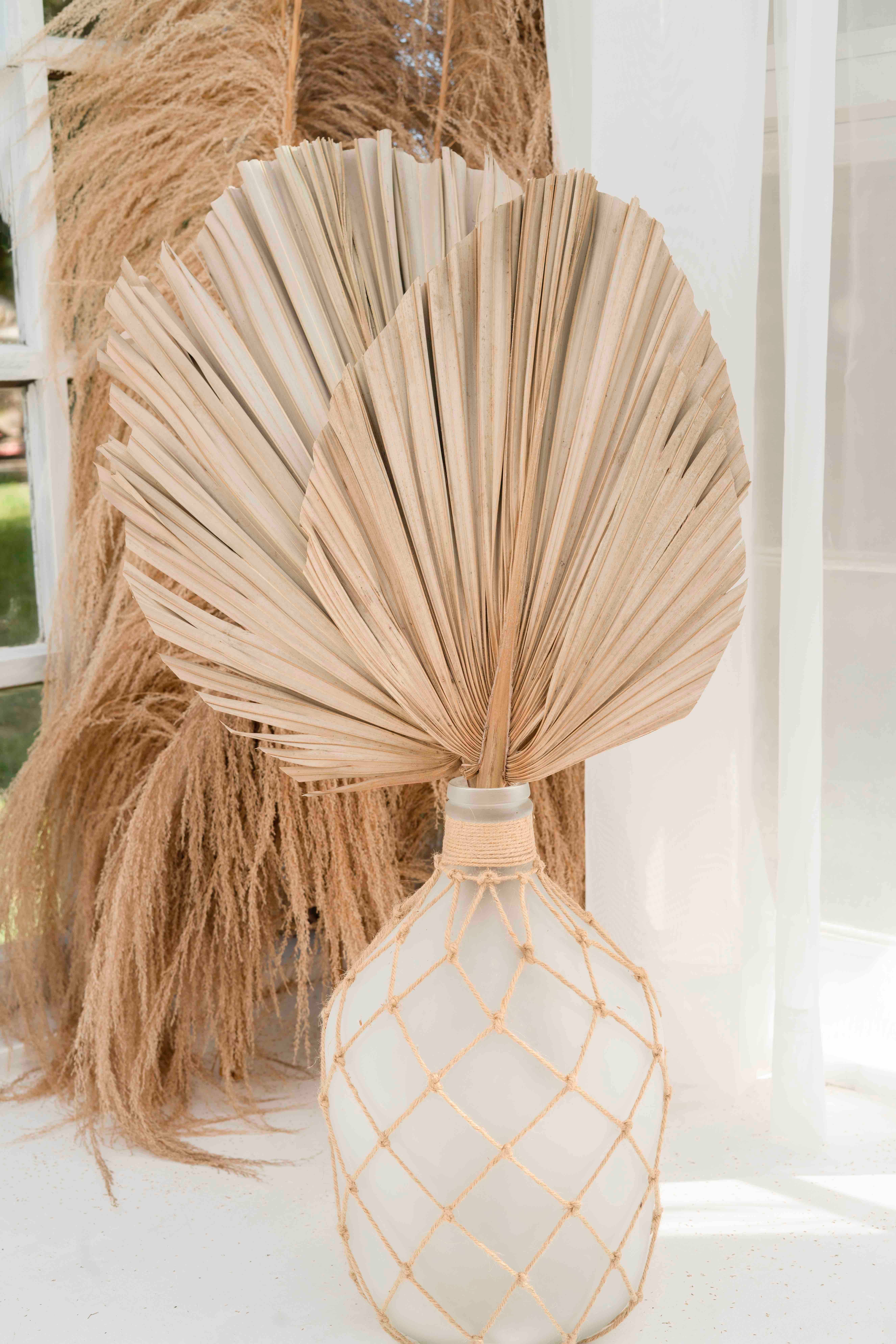 The Blooming Palm – wholesale Decal – Party decorations – Palm Leaves, Large Dried Trimmed Organic Tropical Dried Fan12