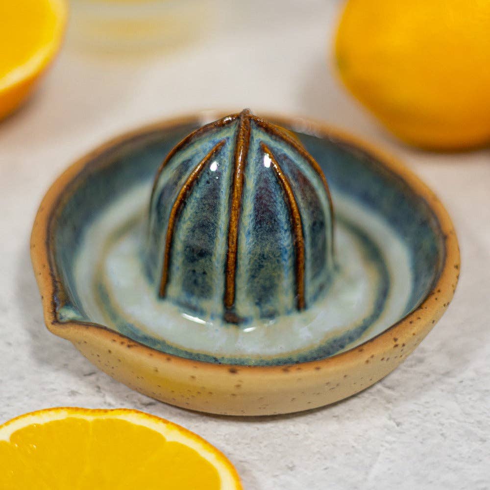 Danutė Murauskienė - Wholesale Juicer - Blue orange juicer3