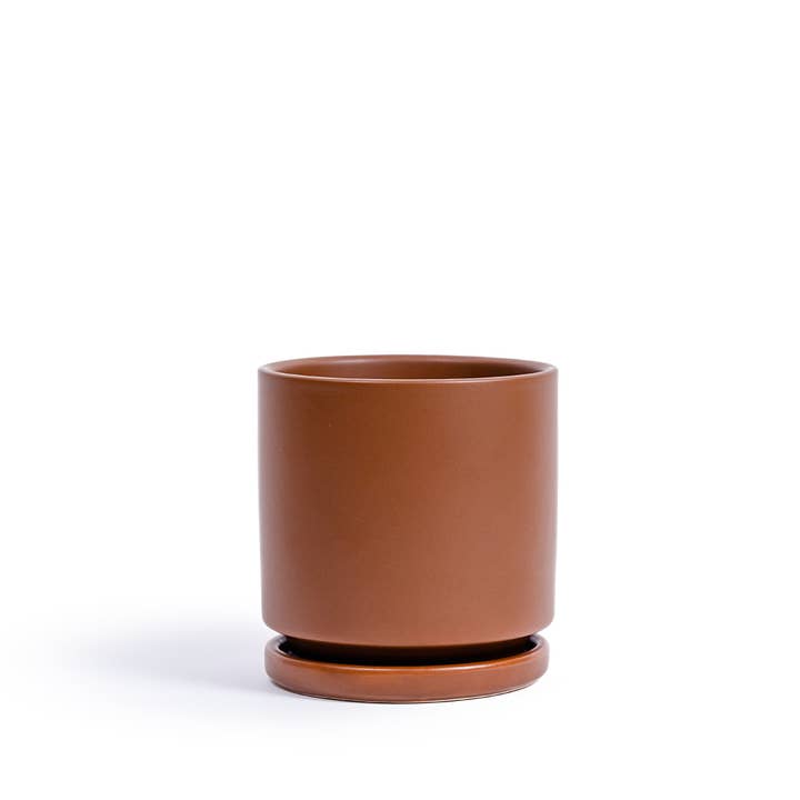 Momma Pots - Wholesale Plant Pot - Limited Release - 10.5" Cylinder Pots with Water Saucers