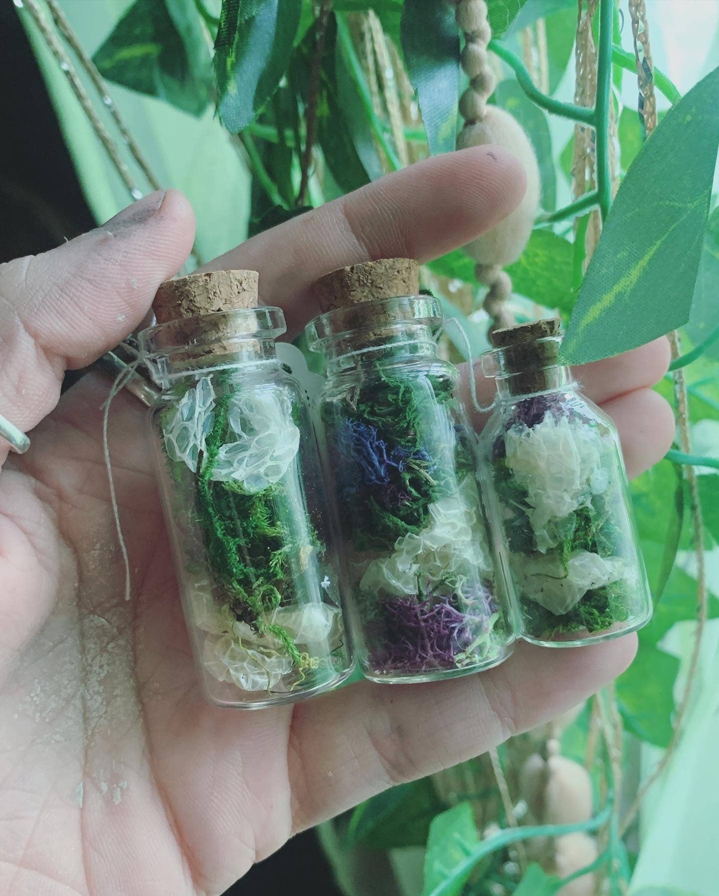 Leafy Ann Art – Engroshandel Apotekerkrukke – Håndlavet apotekerkrukke med slangeskind og mos8