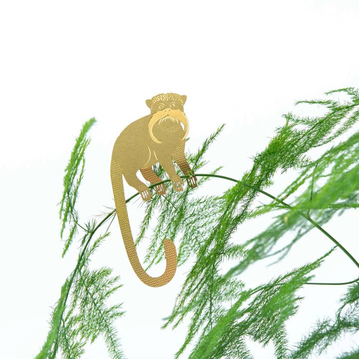 plantyintroverts - Wholesale - PLANT ANIMAL – Saguinus | Another Studio2