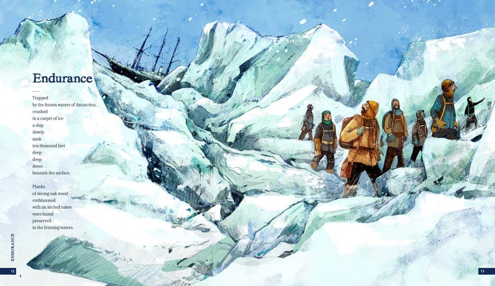 W. W. Norton - Wholesale History & Geography - Shipwreck4