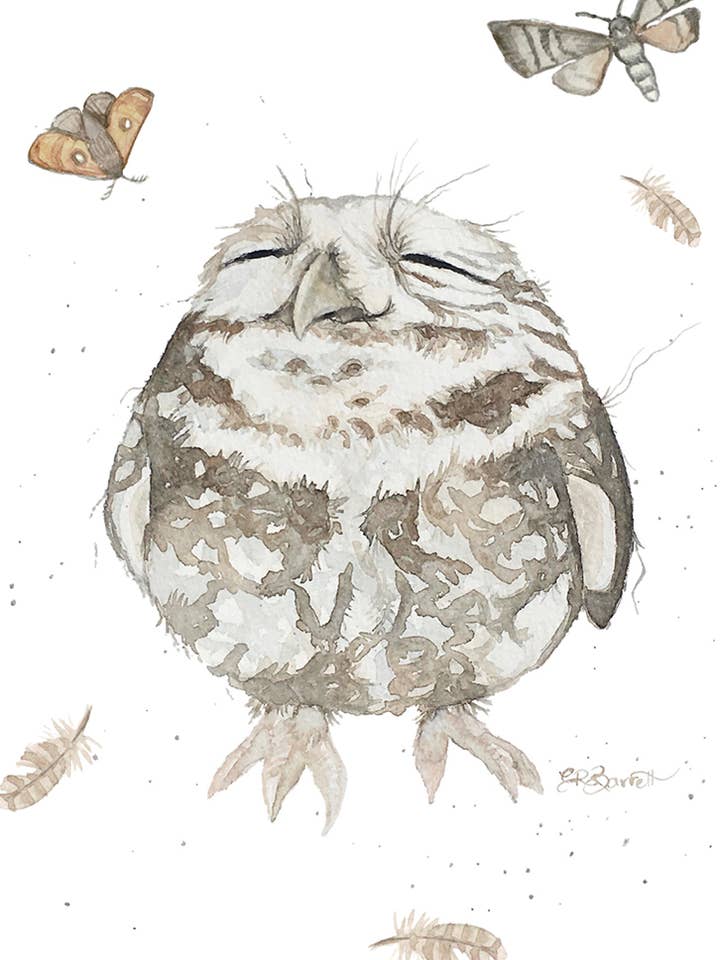 MO BOOBOOK OWL for wholesale by spirit publishing pty ltd