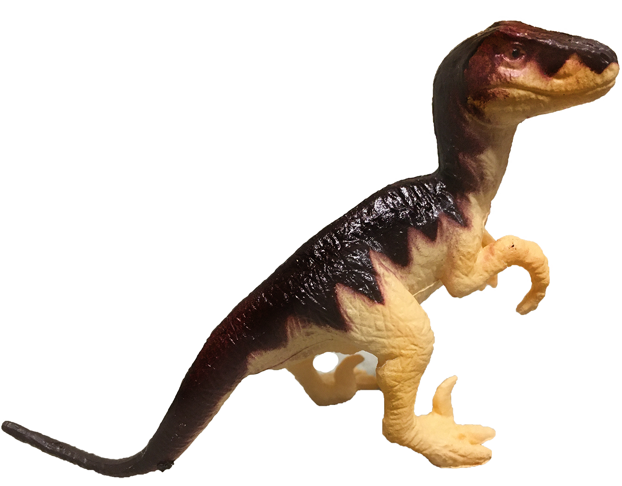 Texas Toy Distribution - Vendita all'ingrosso Figurina giocattolo - Bambini - Collezione di statuette in plastica Dinosaur World Dino da 7,6 cm11