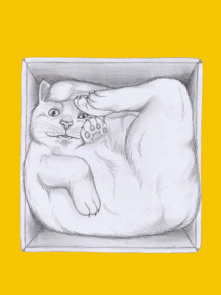 Cat in a box for wholesale by I AM NIEN