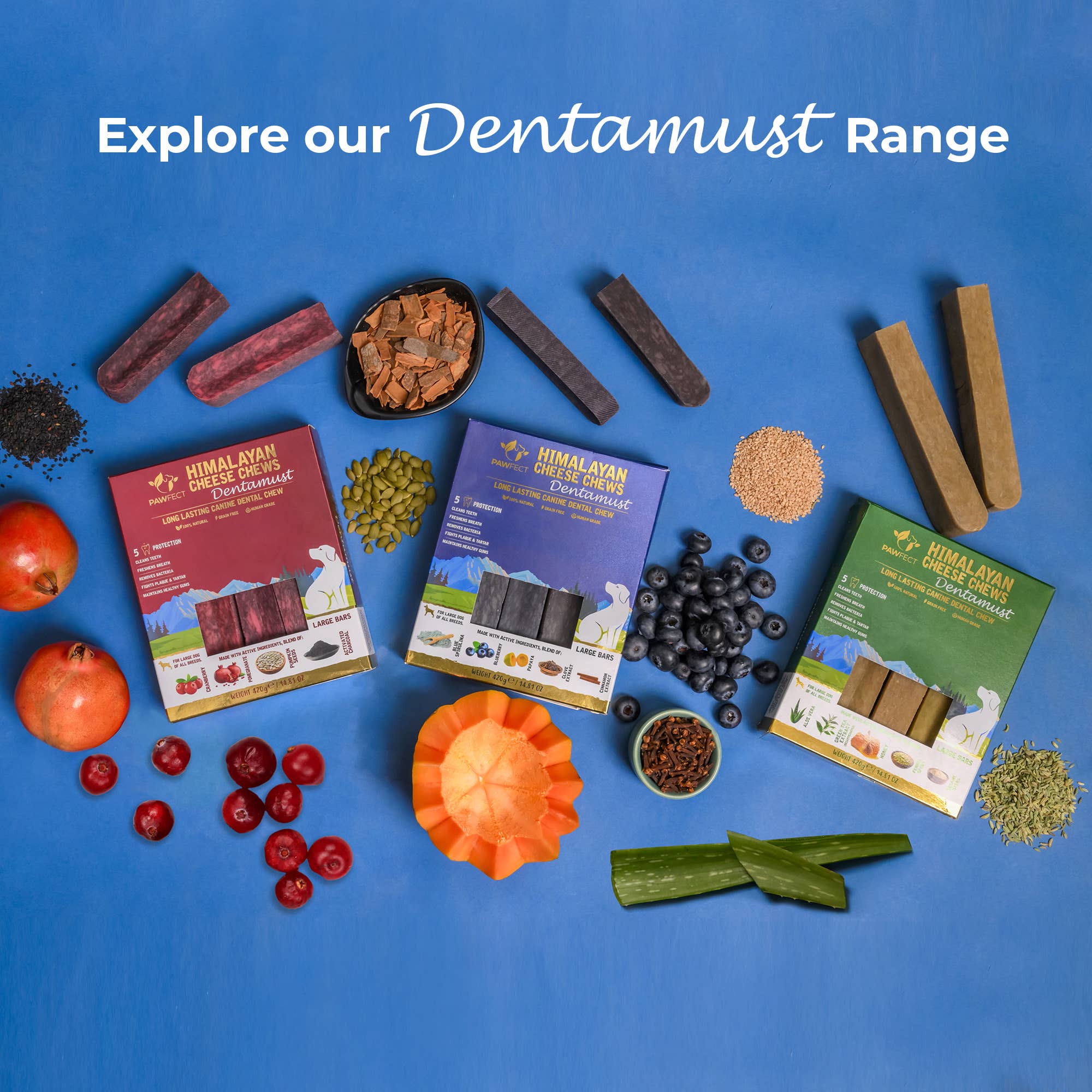 Pawfect Foods - Vendita all'ingrosso Snack - Cani - Pawfect Dentamust Masticabili al Formaggio Himalayano con Mirtillo e Papaya per Cani|Masticabili dentali di lunga durata con Superfood|Tutto Naturale, Alto contenuto proteico|Senza cereali|Confezione da 1 per cani di taglia media (70g/2.47oz)5