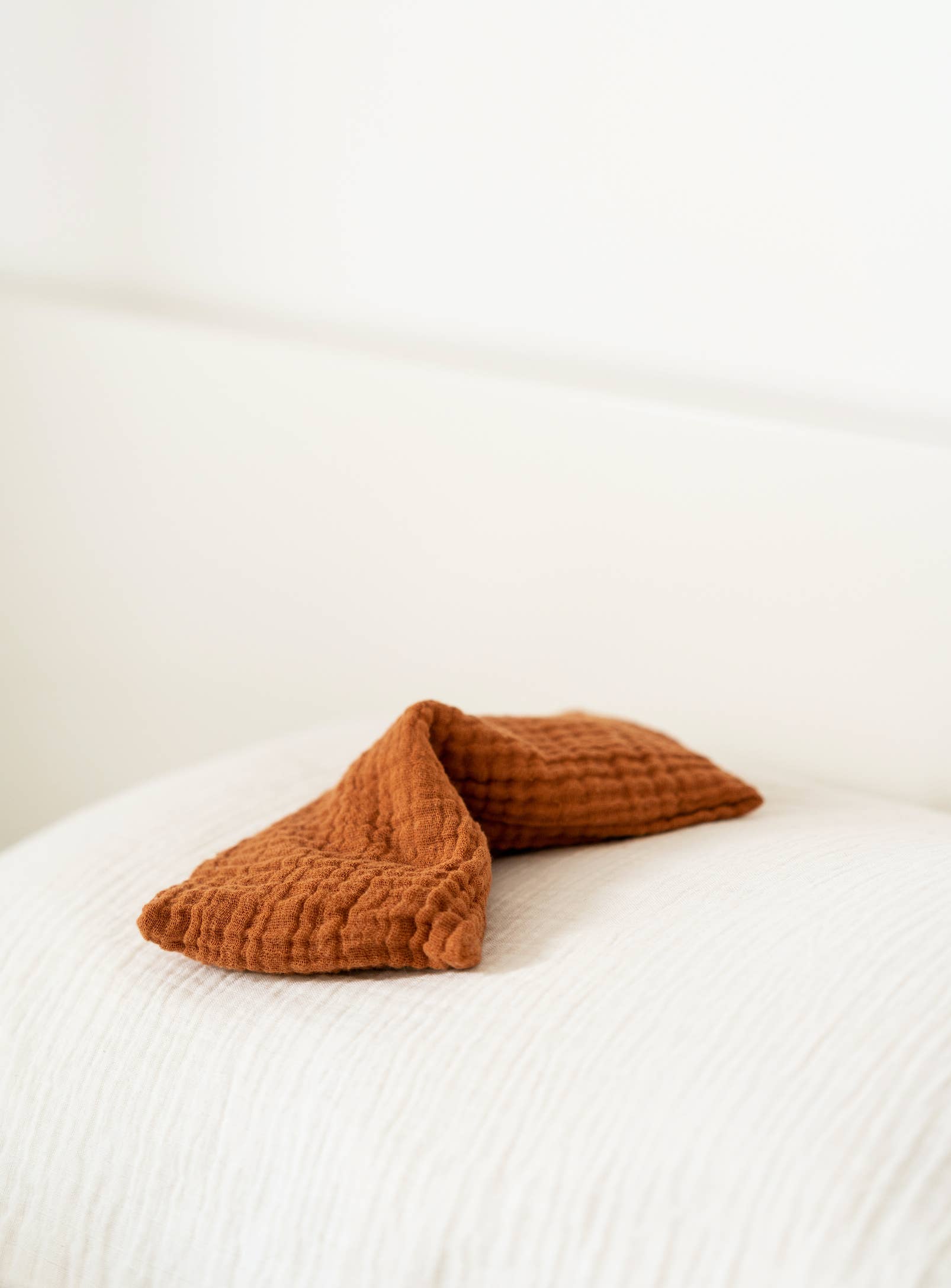 La Petite Leonne - Vente Oreiller de spa/de thérapie - Coussin lesté pour les yeux (lavande)2