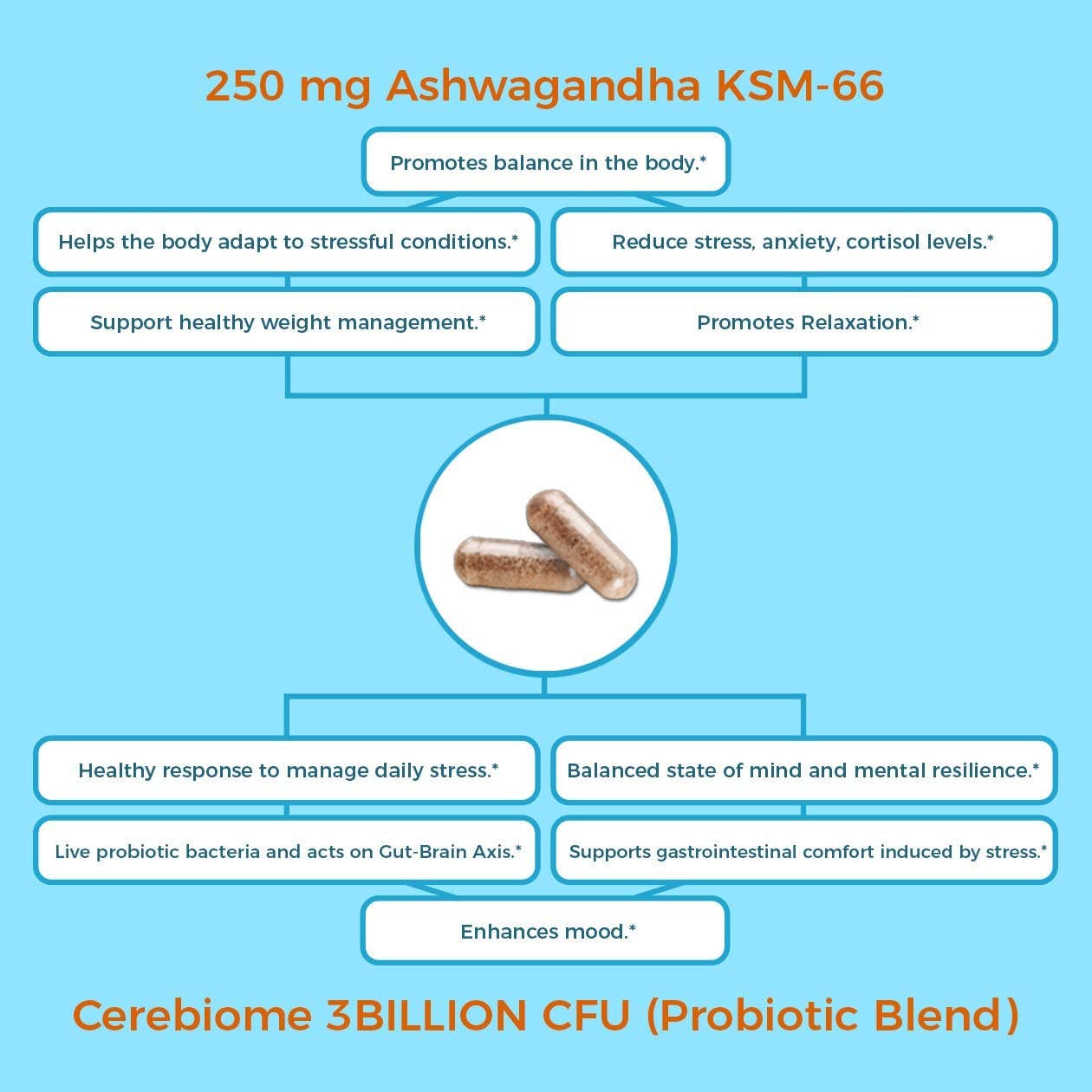 NutriCelebrity - Wholesale Oral Supplement/Vitamin - Nutricelebrity Optimal Stress Relief and Mood Boost Suppleme9