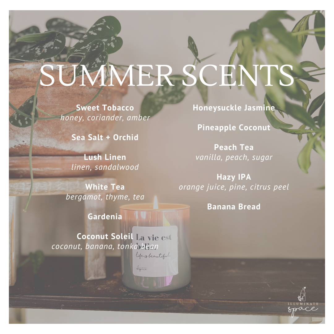 Illuminate Space - Wholesale Jar/Filled Candle - It's too peopley outside Soy Candle, Large10