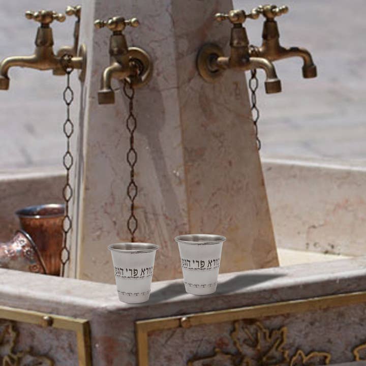 Alza - Wholesale Drinking glass/cup - Silver-plated Kiddush Cup4