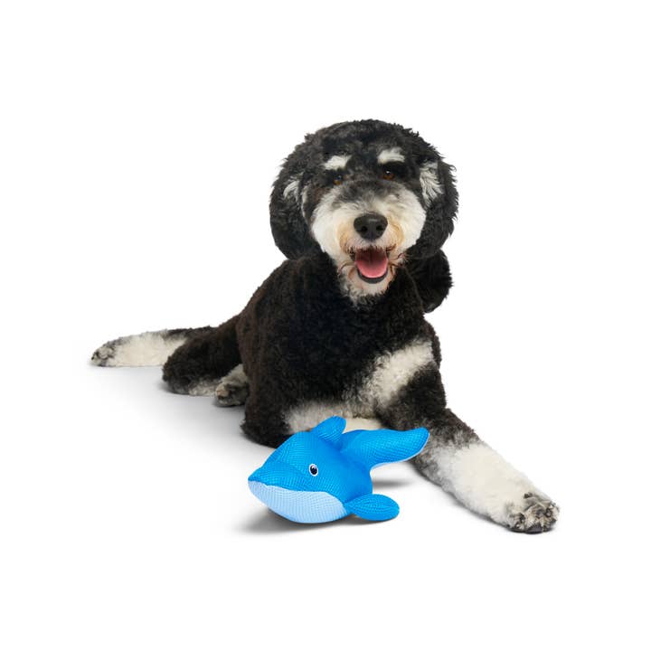 Dolphin blu Giocattolo per cani Chill Seeker CoolPals (Blue Dolphin) in vendita all'ingrosso su Faire2