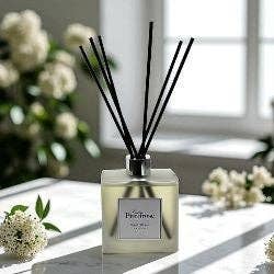 Blue Agave Reed Diffuser| Case of 3 | $105 for wholesale by Lady Primrose Fragrances