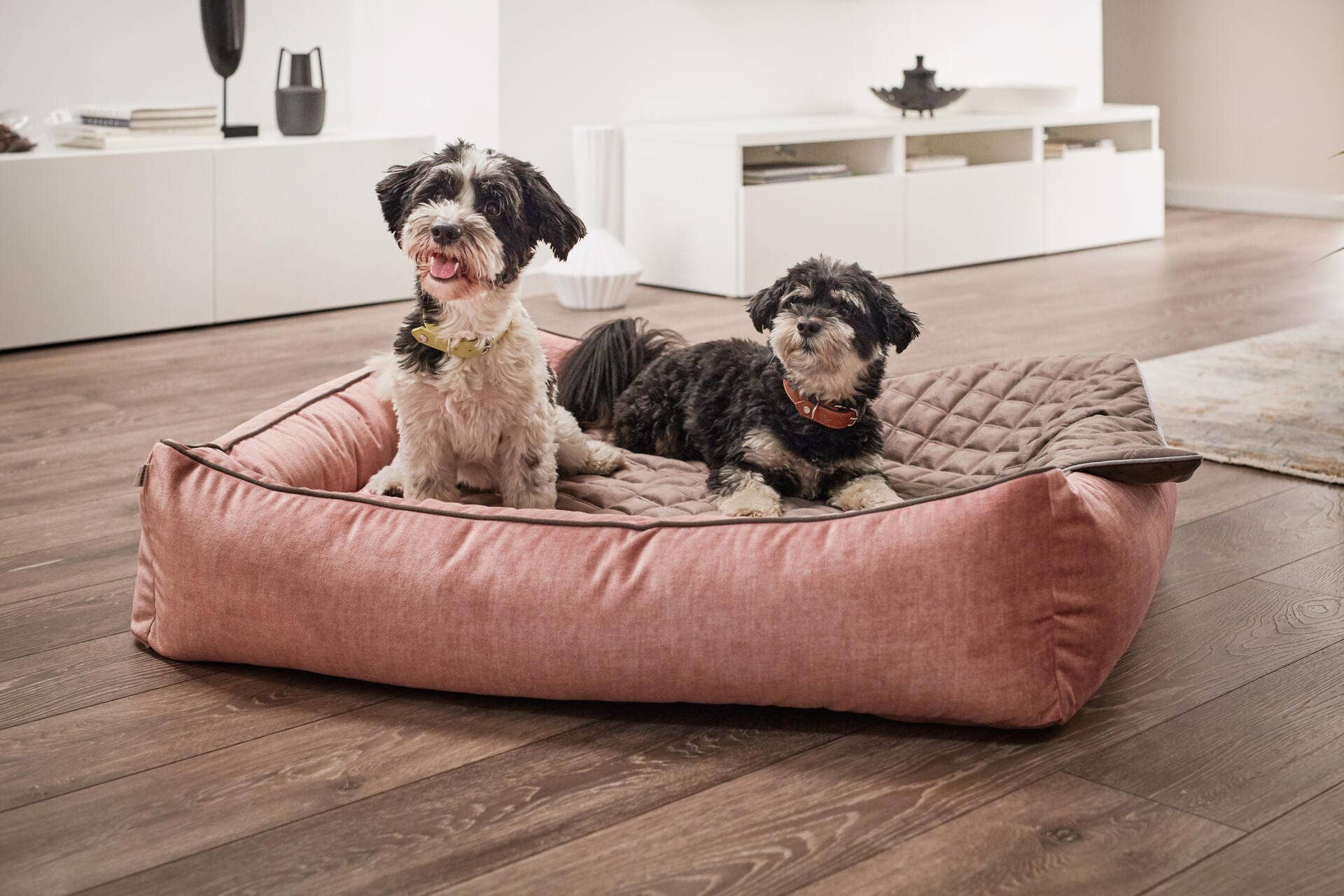 LABONI - Volentis GmbH - Wholesale Pet Bed - Dog - ORTHO PET BED GLAM10