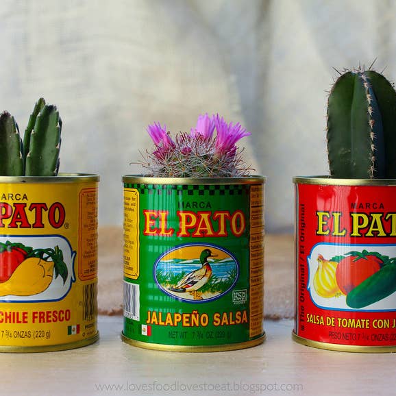All Little Cute Things - Wholesale Vase - Fiesta Decorations. Centerpieces, Flower Vases Table Setting