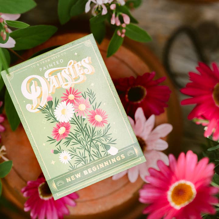 To & From Gift Co. - Wholesale Plant Seeds - Painted Daisies (New Beginnings) - Floriography Seed Packet