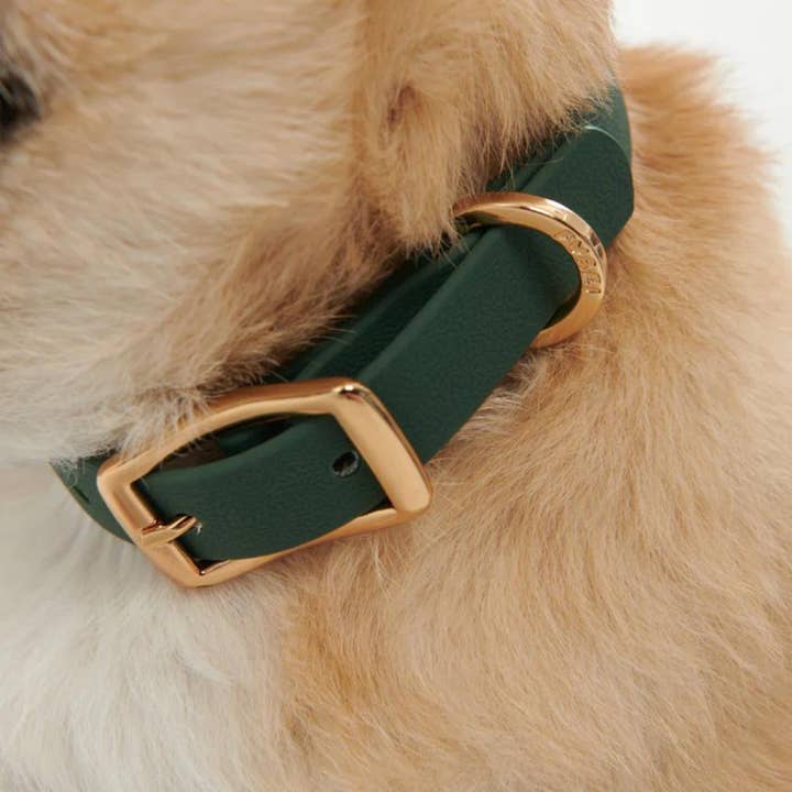 Furei Pets - Wholesale Pet Collar - Dog - Collar13