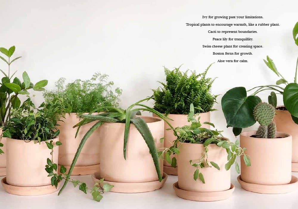 HarperCollins - Wholesale Body, Mind & Spirit Book - HausMagick : Erica Feldmann5