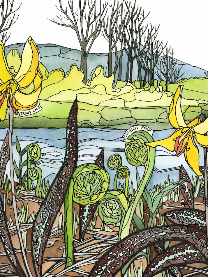 Trout lily card for wholesale by Mattie Rose Art