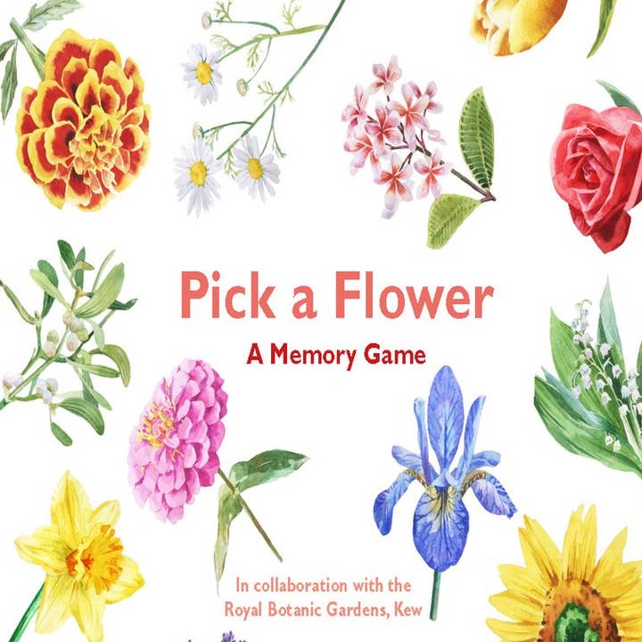 Pick a Flower for wholesale by Raincoast Distribution Group