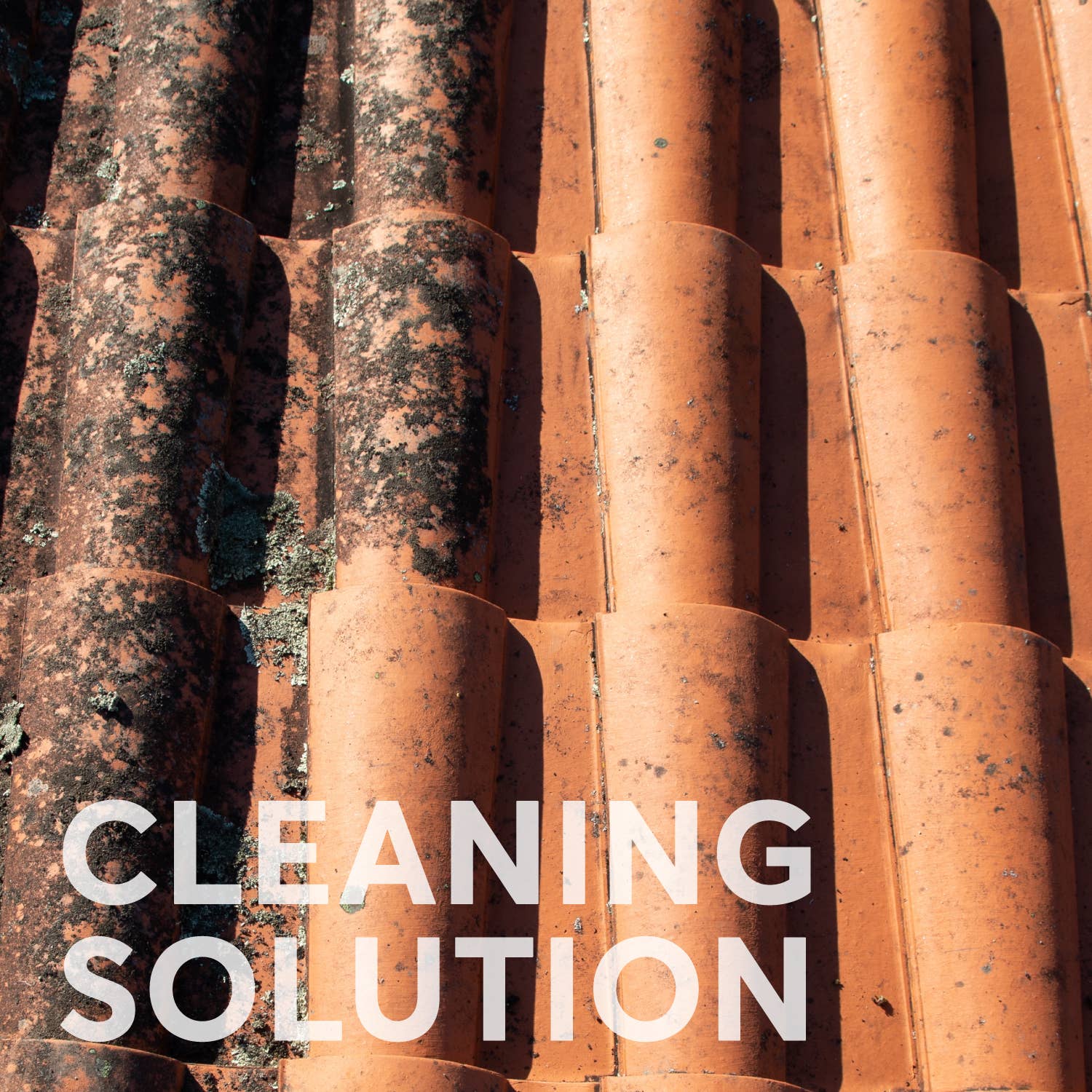 Solace - Vendita all'ingrosso Spray detergenti multiuso - Acido ossalico in cristalli di qualità premium per pulizia e rimozione ruggine6