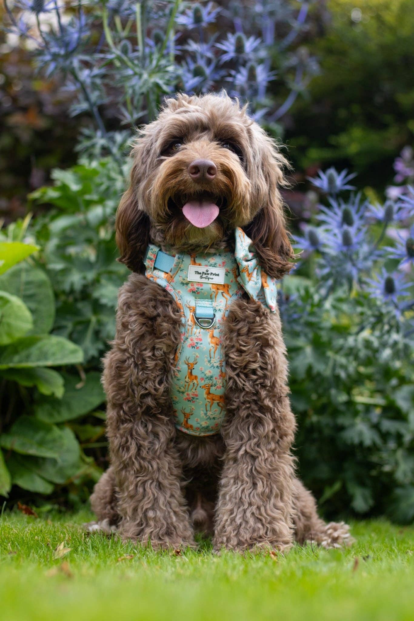 The Paw Print Boutique – wholesale Pet bow tie – Dog – Bambi in Bloom Bow Tie6