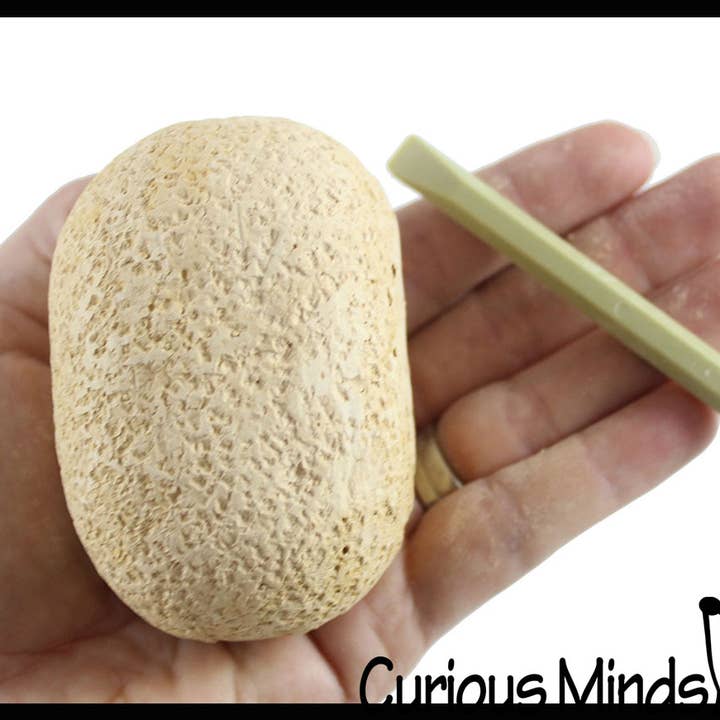 Curious Minds Toys - Wholesale Figurine Toy - Kids - 1 Dinosaur Fossil Excavation Dig Eggs - Uncover Dino Fossil