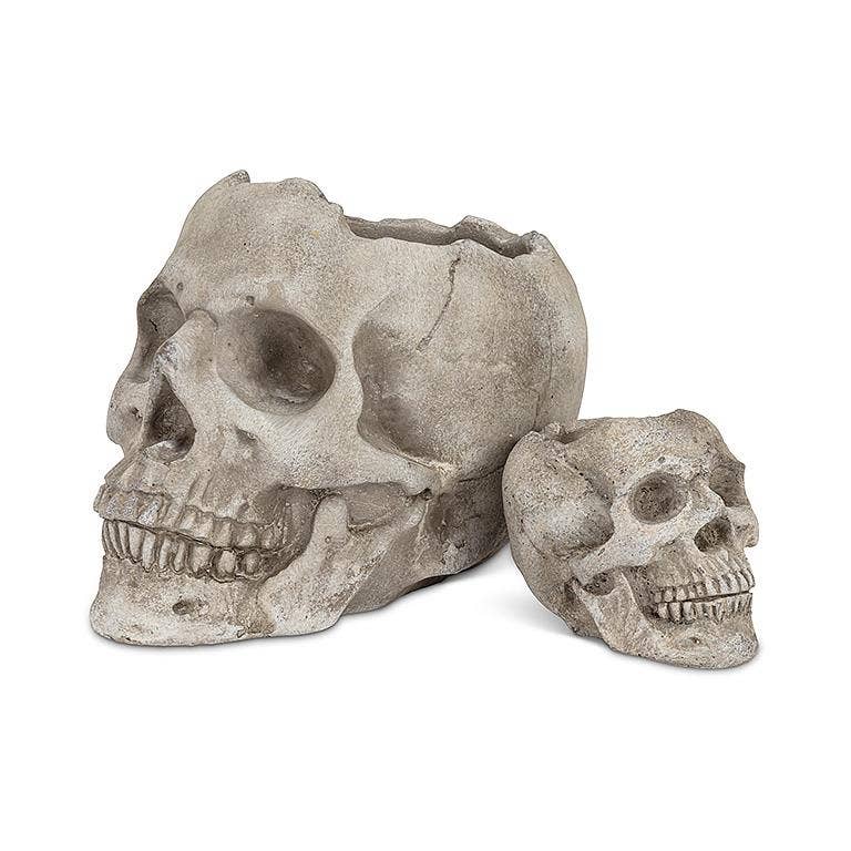 Abbott – Engroshandel Plantekrukke – Lg Skull Planter-5"H-9703
