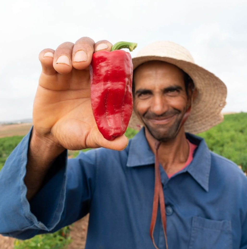 Gourmet Food Solutions, Inc. - Wholesale Chili Paste - Organic Tunisian Harissa | Moulin Mahjoub3